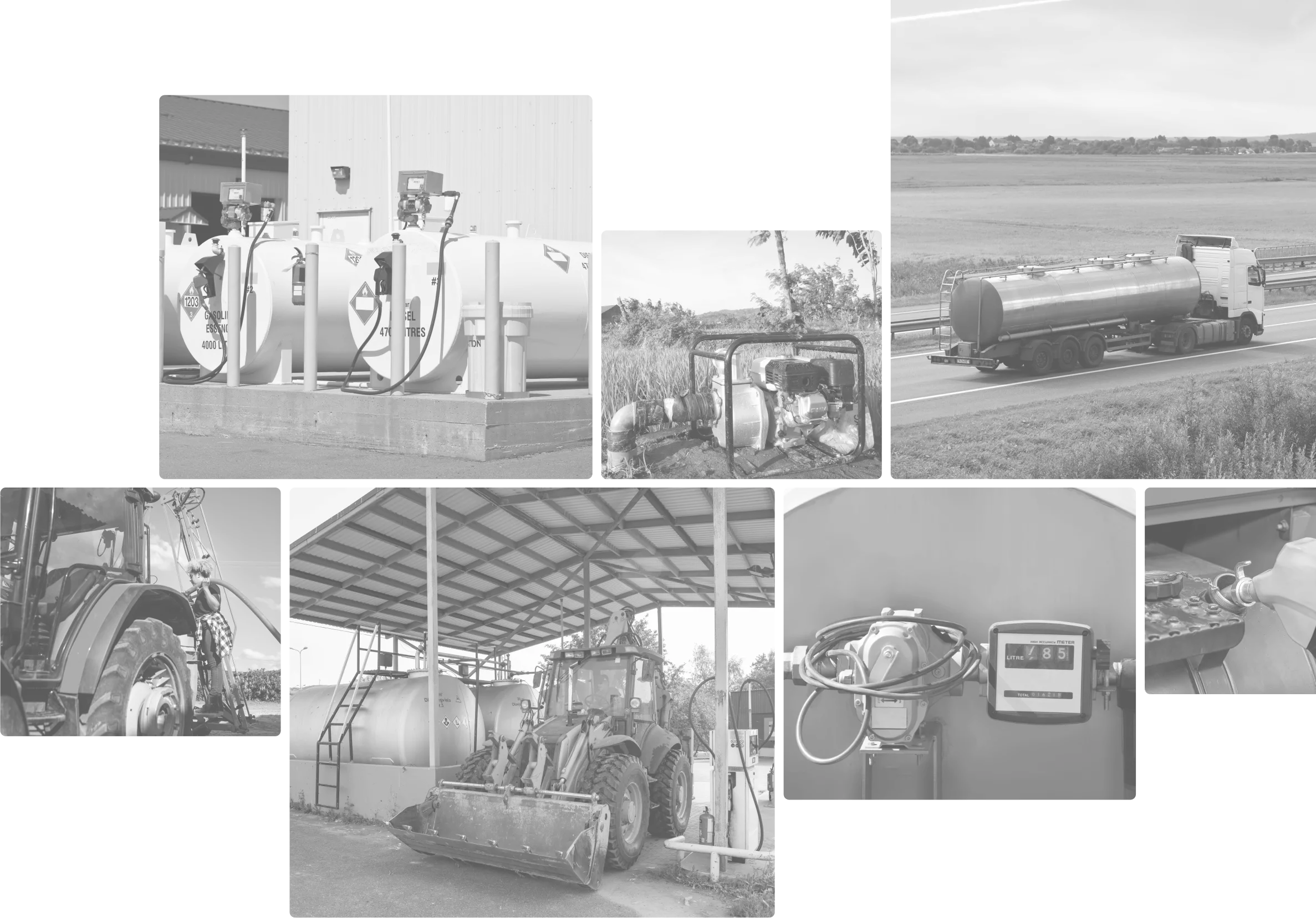 Collection of Images